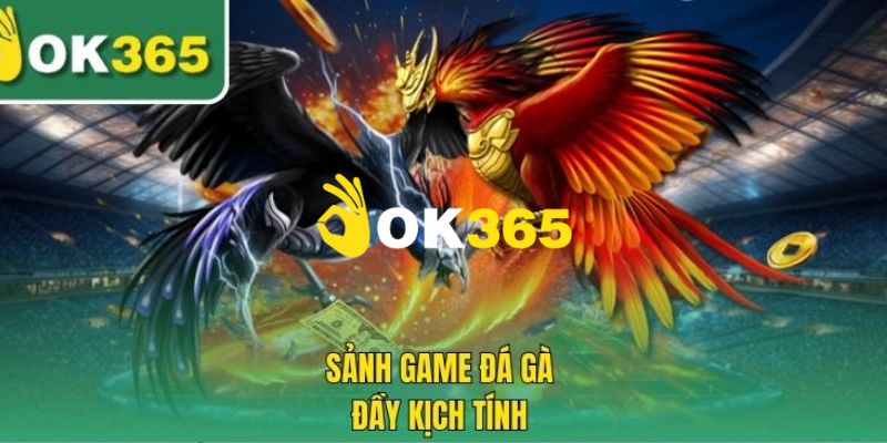 Chuyên mục đá gà hấp dẫn đỉnh cao 2026